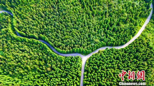 贵州黔南：“生态美”助力“旅游兴”绘就绿色发展新画卷