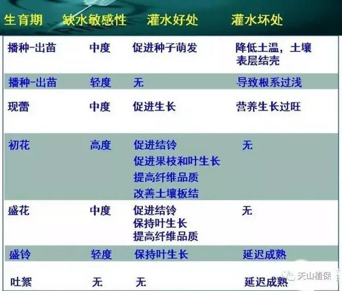 棉花不同时期需水规律，你怎么看？