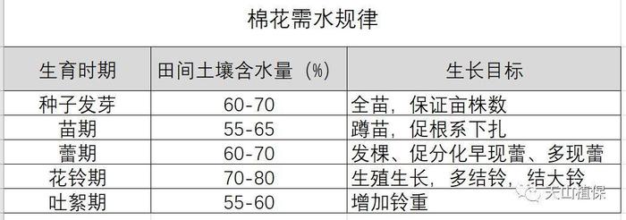 棉花不同时期需水规律，你怎么看？