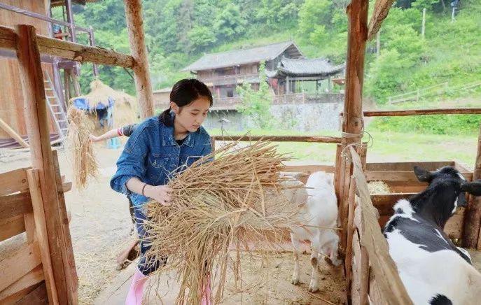 低调的张子枫，像极了女版的“易烊千玺”！