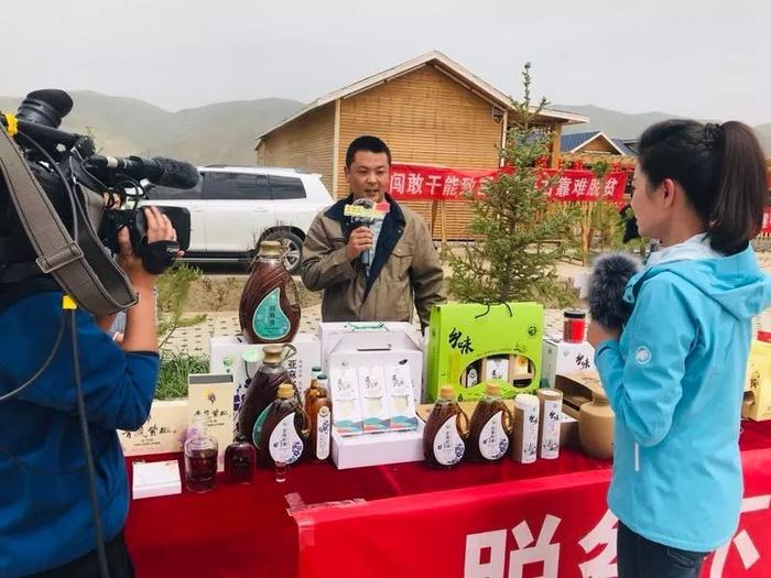 《扶贫第一线》——祁连山下牡丹花开