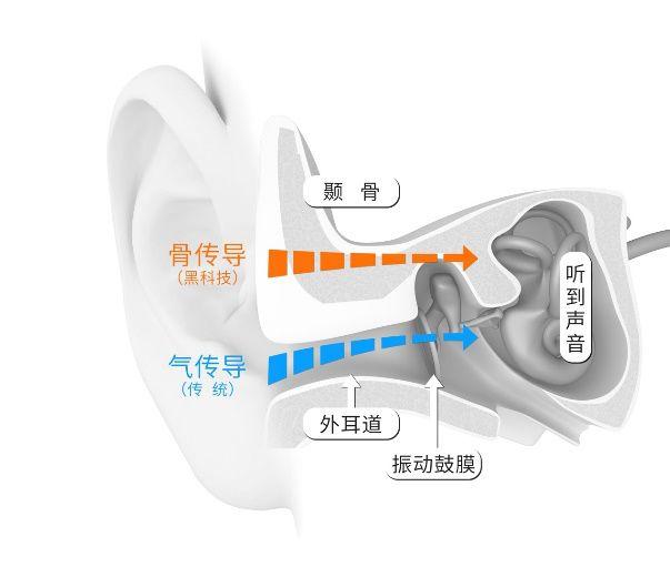 热爱运动的你别错过AfterShokz韶音发布的这几款新品