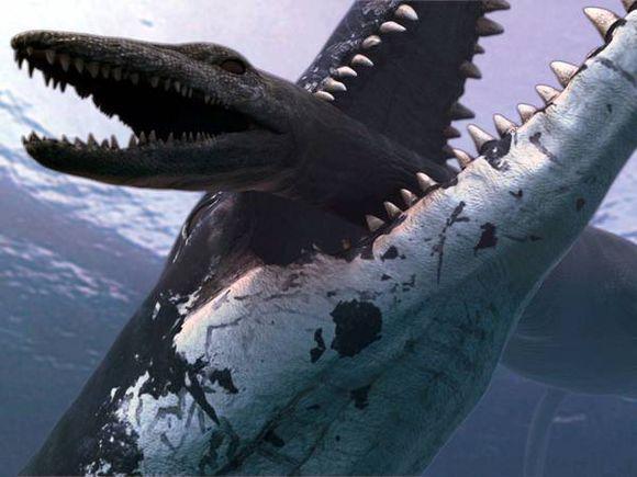 史前海洋巨兽沧龙是怎样的生物？它们的体型有多大？