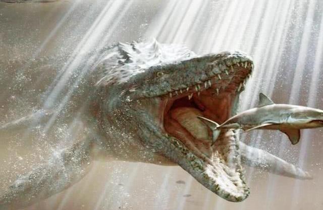 史前海洋巨兽沧龙是怎样的生物？它们的体型有多大？
