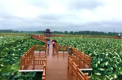 清华大学教育扶贫中外师生暑期社会实践支教队走进阜阳阜南地城镇