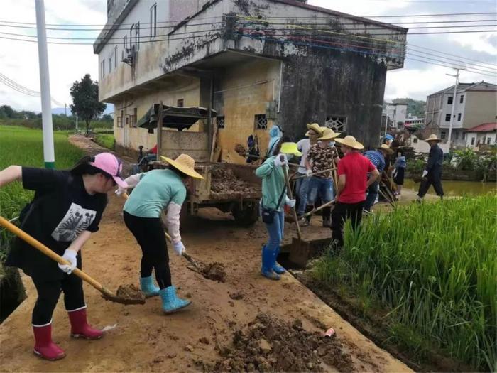 危房拆除、水稻丰收...河源干群齐动员，全力做好复产重建工作