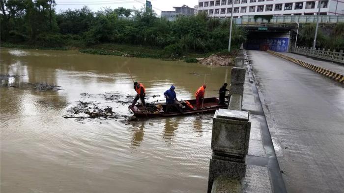 危房拆除、水稻丰收...河源干群齐动员，全力做好复产重建工作