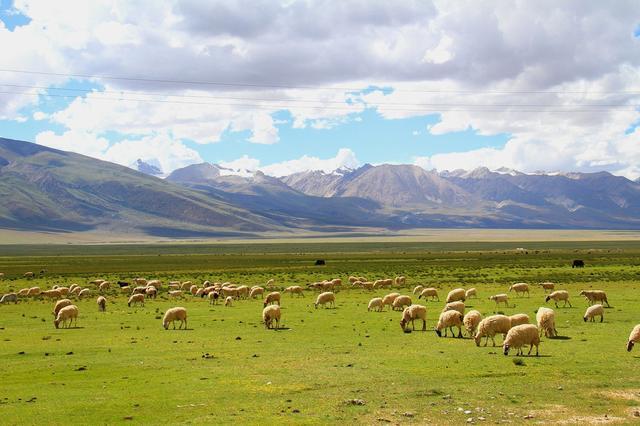 西藏六大草原各有不同，总有一个你想去的，润邦等你一起出行