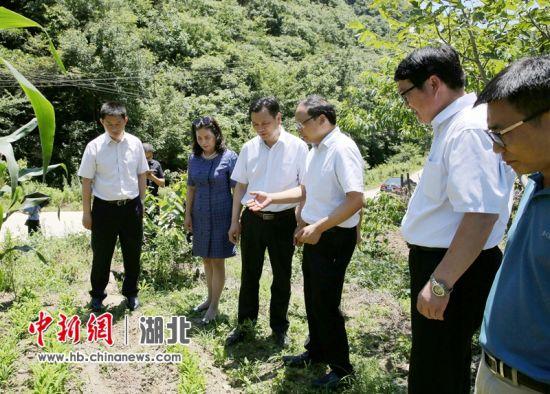 湖北中医药大学开展精准扶贫与暑期社会实践相关文章