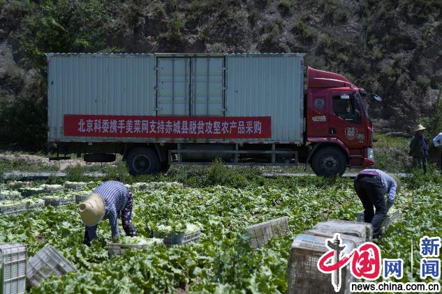 美菜网“互联网+渠道扶贫”破解农产品滞销困局