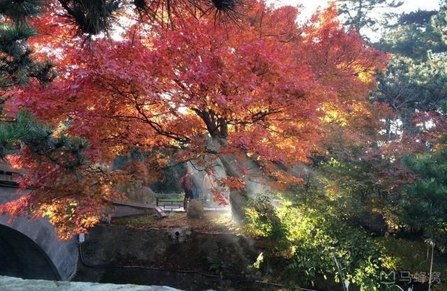 揭开庐山真面目，教你一次打卡庐山所有著名景点