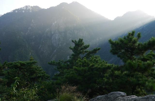 揭开庐山真面目，教你一次打卡庐山所有著名景点