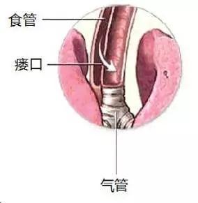 中山一院举办咽喉内镜诊疗技术培训班

首次应用仿真喉模拟手术