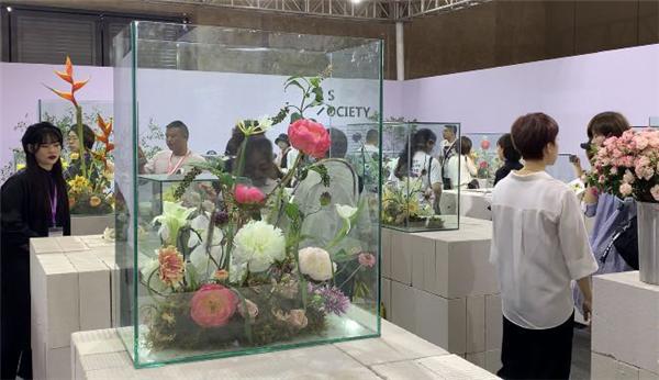 花开七彩云南 第20届中国昆明国际花卉展开幕