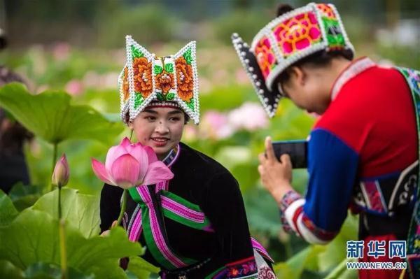 云之美｜荷花，云南夏天的一抹亮色