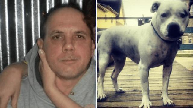 美国男癫痫发作摔下床竟被养了10年的斗牛犬咬死，狗将被安乐死