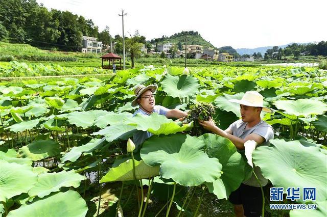 咱们村里的年轻人——记奋战在贵州脱贫攻坚一线的青年