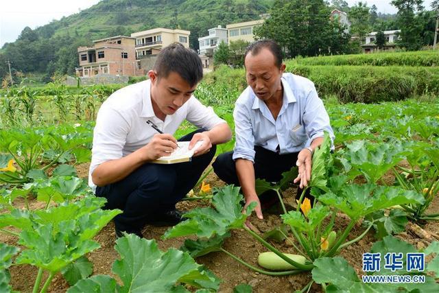 咱们村里的年轻人——记奋战在贵州脱贫攻坚一线的青年