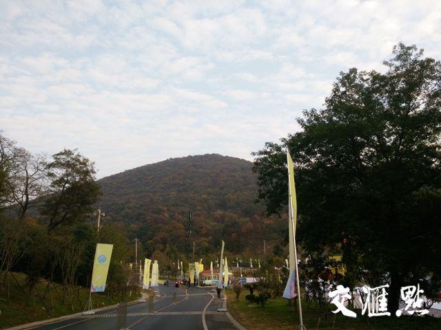 首批“全国乡村旅游重点村”拟入选名单公示，江苏13个乡村入选