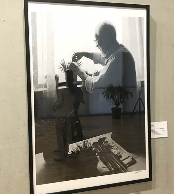 朱屺瞻理菖蒲、刘海粟画人体，88岁蔡斯民呈现名家摄影