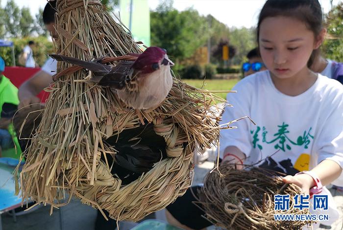 西安秦岭生态环境保护志愿者营正式成立