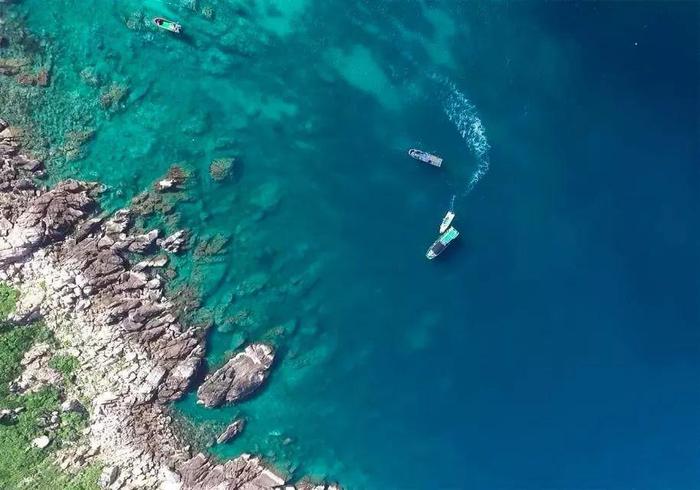 大洲岛，媲美美娜多的潜水圣地，海参海胆海螺随处可见