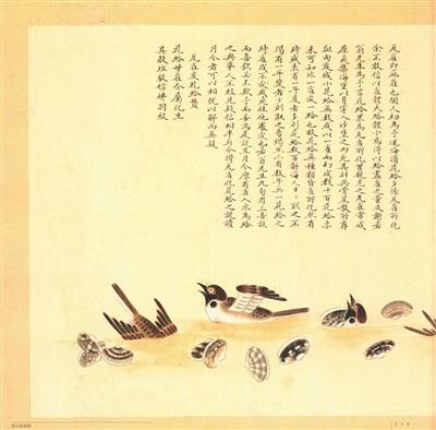 化生博物学：中国古代的“神奇动物”
