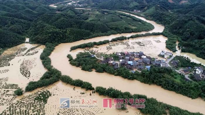涨好快！柳江洪水已上河堤，不少车辆尚未转移！融安柳城等县遭遇大暴雨袭击