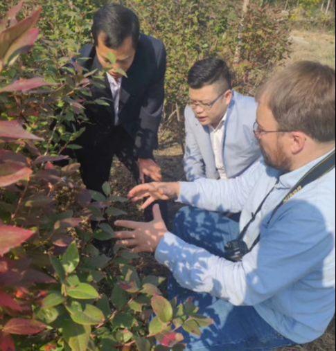 浉河区东双河镇蓝莓基地—骏翔蓝莓