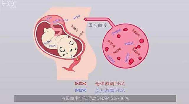 怀孕后，多久能查出“胎儿骨骼畸形”？过了这一周，孕妈妈才放心