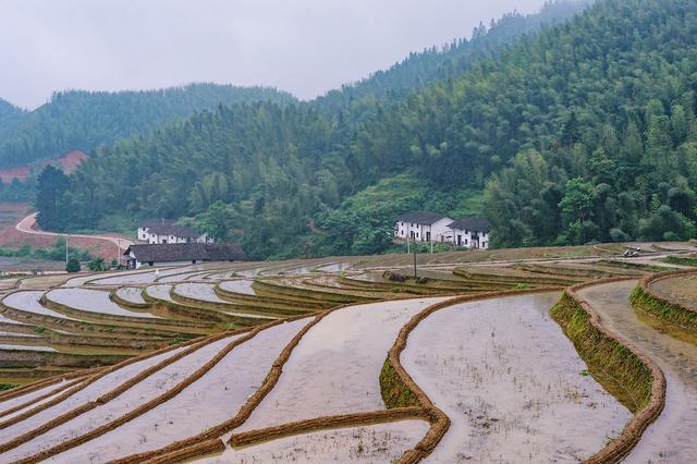 江西赣州上堡梯田，究竟有多美，就连央视新闻也来此取景！