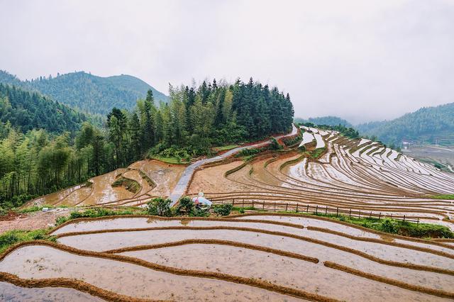 江西赣州上堡梯田，究竟有多美，就连央视新闻也来此取景！