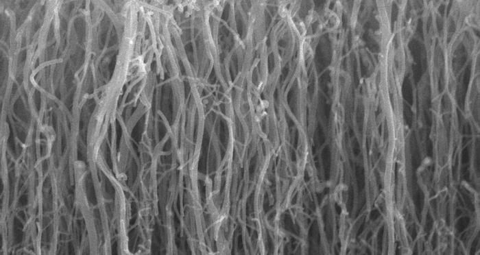 科学家创造出：金属中氢纳米孔相互作用的预测模型！