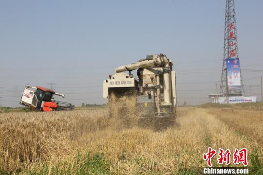 安徽上半年GDP增8% 小麦品质为近10年最好