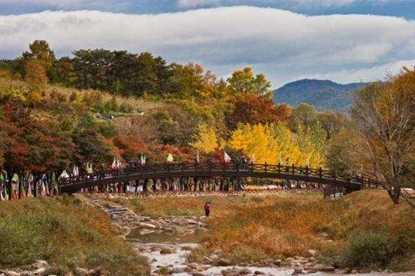 韩国旅游10大必玩景点，济州岛、三清洞上榜，你去过吗？