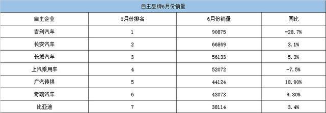 车企体检报告：6月中国自主品牌 吉利连冠/上汽下滑