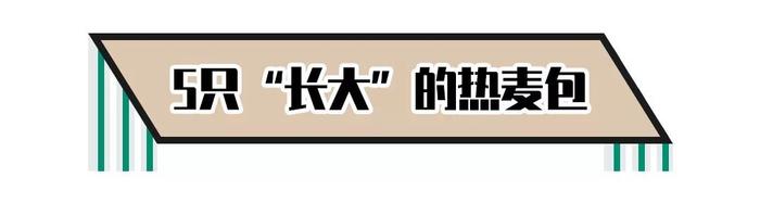 喜茶热麦包包「膨胀」了！明天全场半价，吃它！