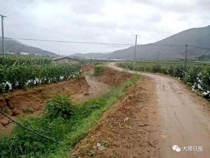 为了河畅、水清、岸绿、景美，宾川鸡足山镇这样做