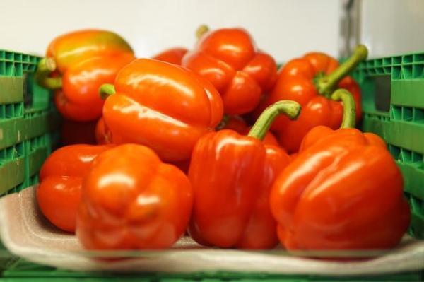 甜椒、青椒身世之谜，解开尖椒与墨西哥辣椒差别在哪？