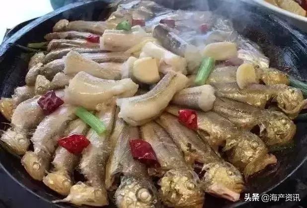 如何区分大黄鱼、小黄鱼、黄姑鱼、黄唇鱼？特征全都告诉你