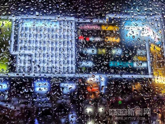 刚刚，哈尔滨市发布暴雨橙色预警！这些站点雨量超80毫米｜本周雨雨雨雨不停歇