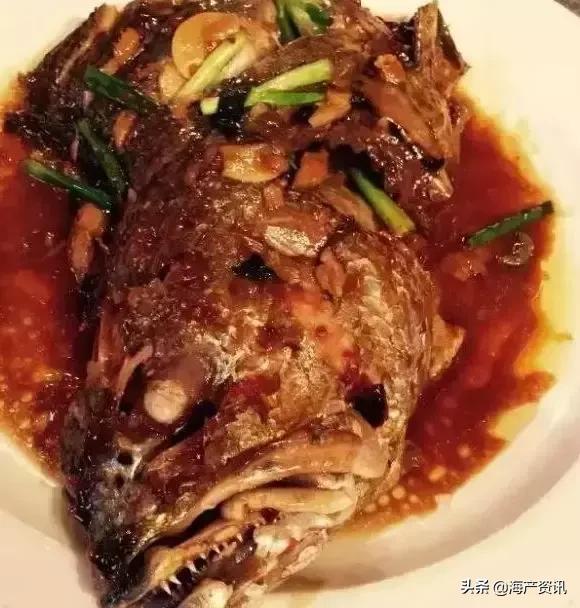 如何区分大黄鱼、小黄鱼、黄姑鱼、黄唇鱼？特征全都告诉你
