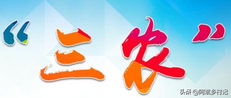 三农是什么？三农领域创作者怎么展开创作