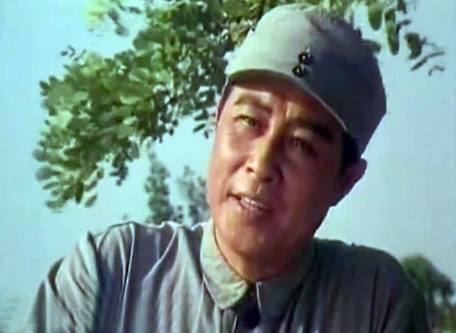 1978年的大片 全明星阵容 张瑞芳主演 王心刚陈强赵联等甘当配角