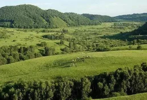 “国家1号风景大道”自驾路线出炉，去过才知它的美