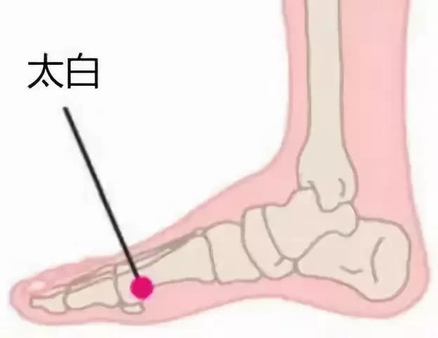 防病秘籍！脾经畅通——重病、急病、怪病难上身