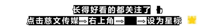 「慈文星时光」欢迎新人 张晨｜文晴｜黄子恒 加入慈妹儿大家庭