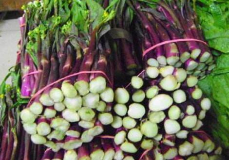 红菜薹、红菜头、红苋菜，红色蔬菜有何特殊之处？营养丰富抗衰老