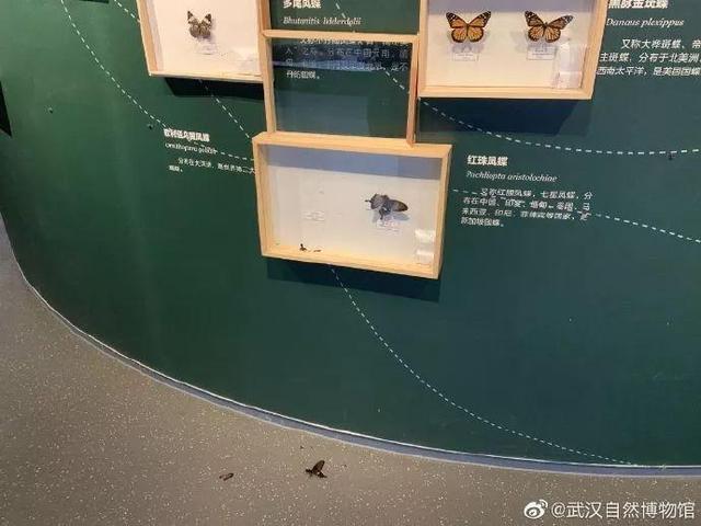 “博物馆不给吃东西，又不给孩子跑...”观众发出灵魂质疑