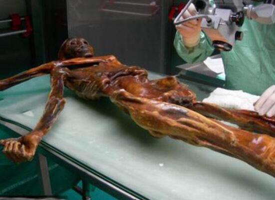 世界上最古老的古尸，冰人奥茨冰封5300年不腐
